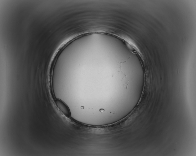 X0000086721088200705041323