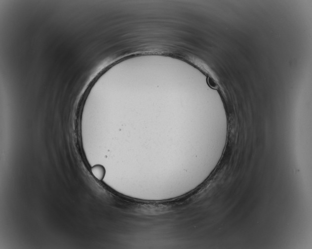 X0000086721091200705041323