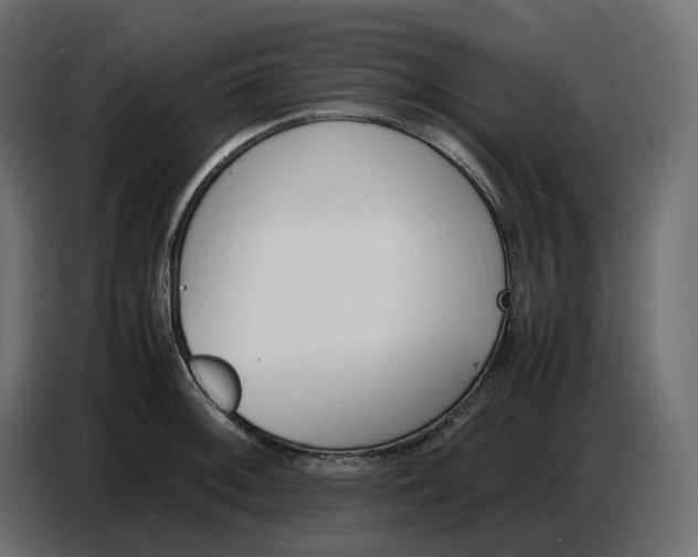X0000086721092200705041323