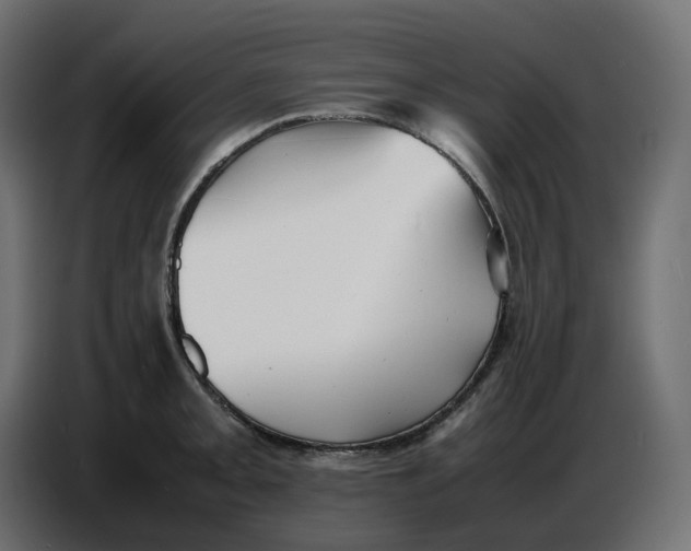X0000086721093200705041323