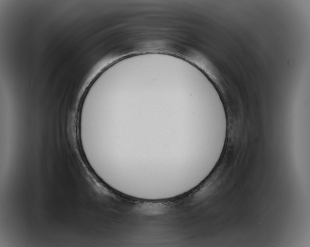 X0000086721094200705041323