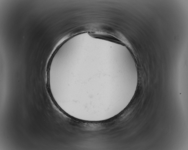 X0000086721095200705041323