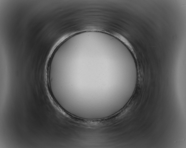 X0000086721096200705041323