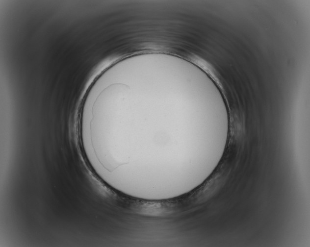 X0000086721098200705041323