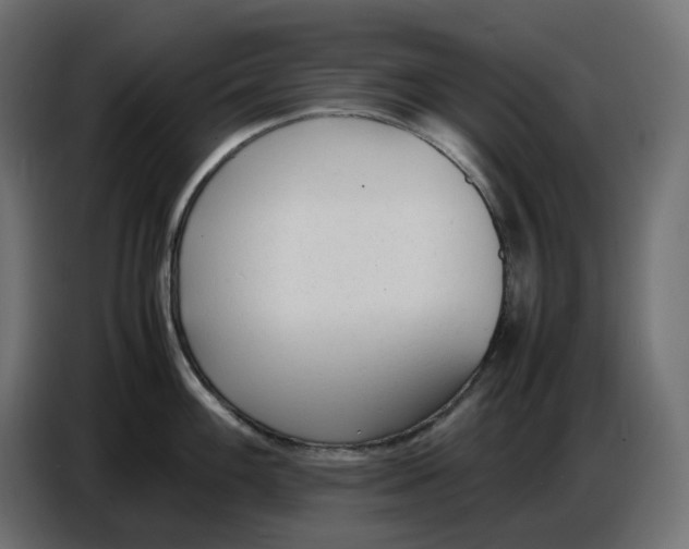 X0000086721100200705041323