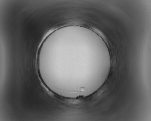 X0000086721103200705041323