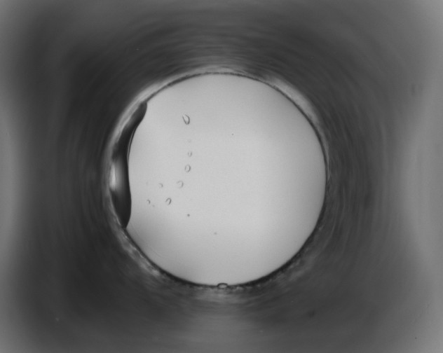 X0000086721104200705041322