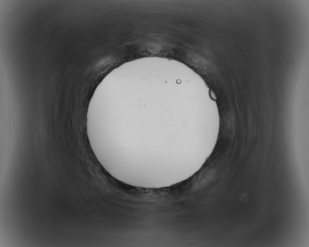 X0000086721105200705041322