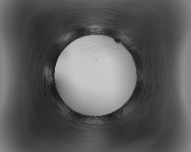X0000086721106200705041322
