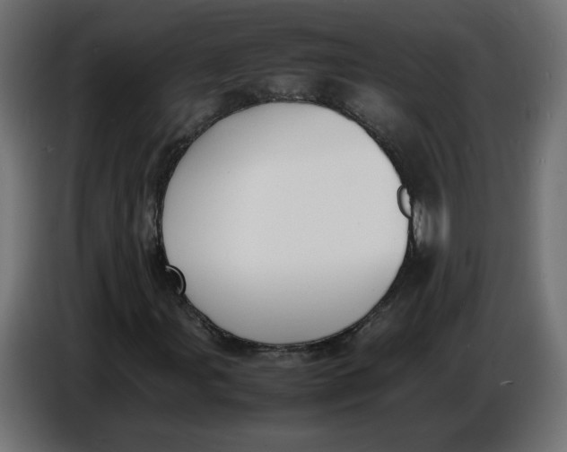 X0000086721107200705041322