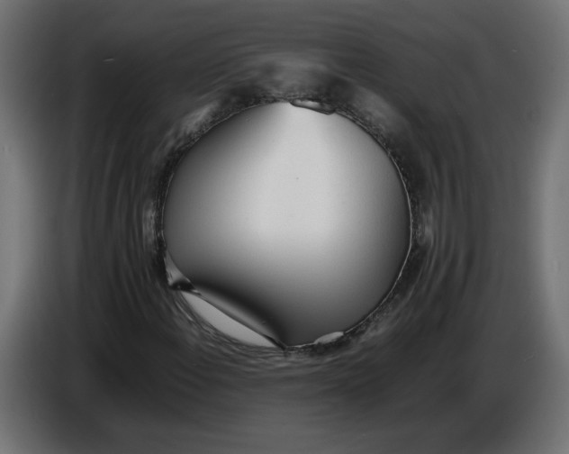 X0000086721108200705041322