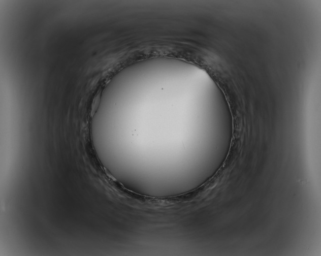 X0000086721109200705041322