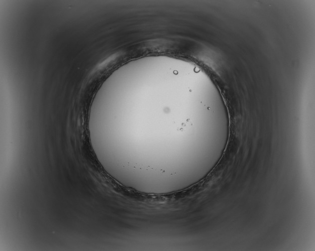 X0000086721111200705041322
