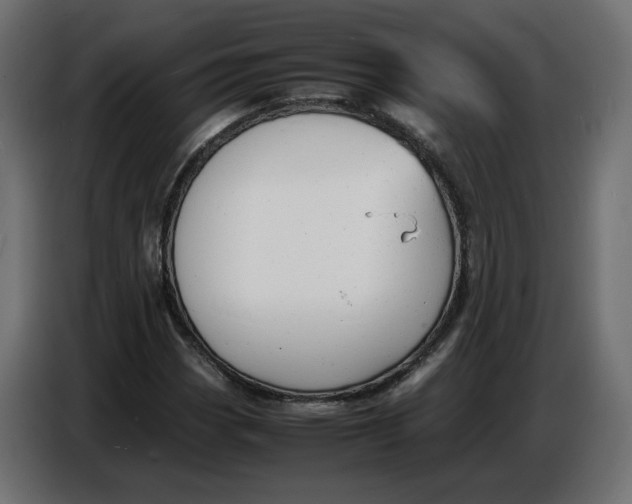 X0000086721113200705041322
