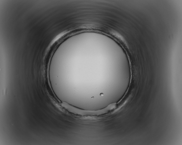 X0000086721114200705041322