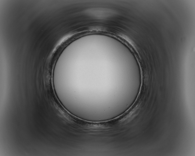 X0000086721115200705041322