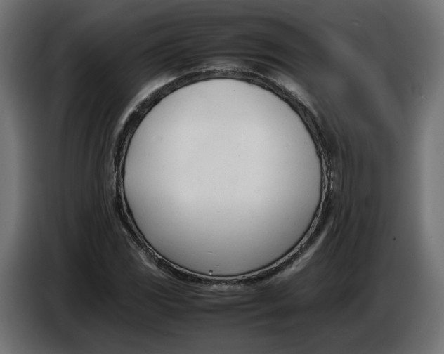 X0000086721117200705041322