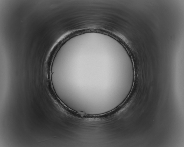 X0000086721118200705041322