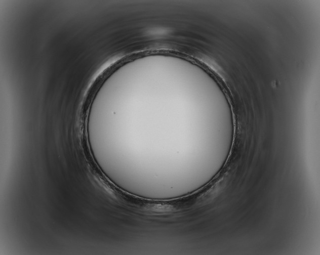 X0000086721119200705041322