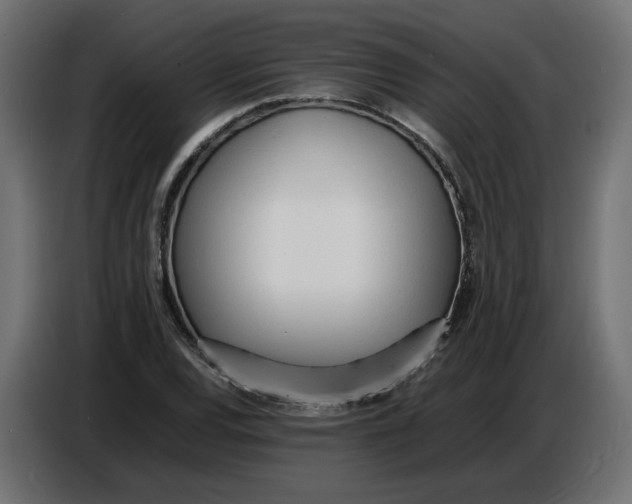 X0000086721120200705041322