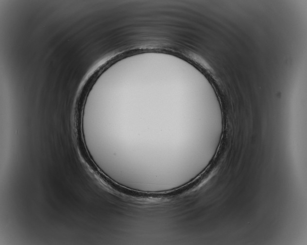 X0000086721122200705041322