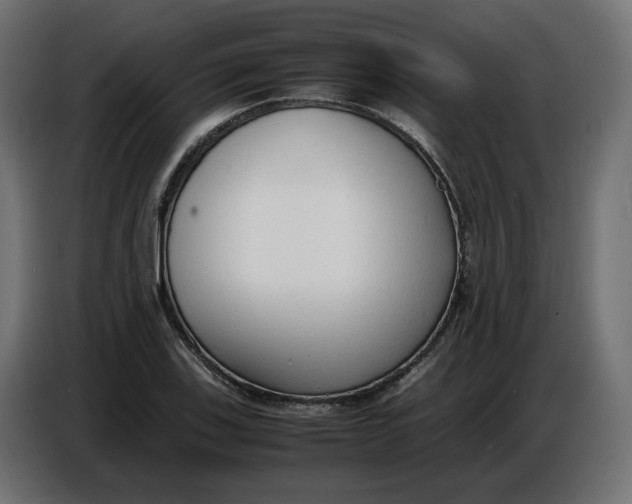 X0000086721123200705041322