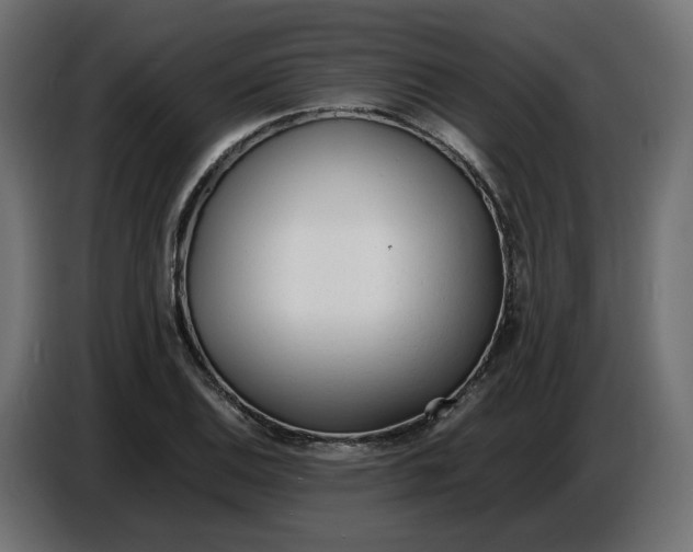 X0000086721124200705041322