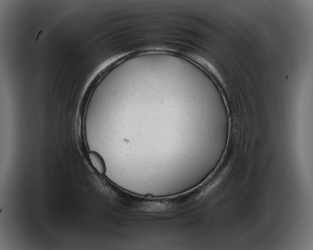 X0000086721125200705041322