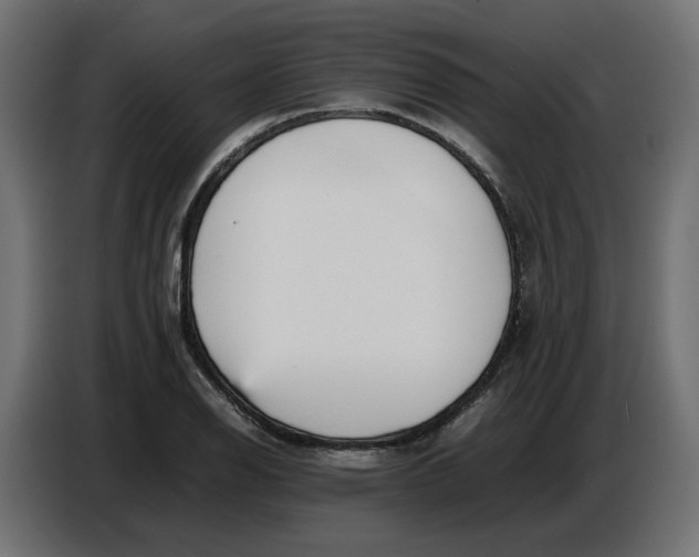 X0000086721126200705041322