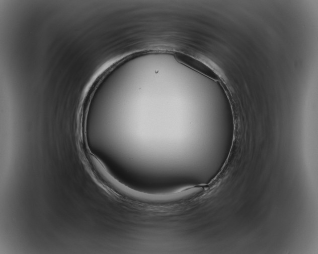X0000086721128200705041322