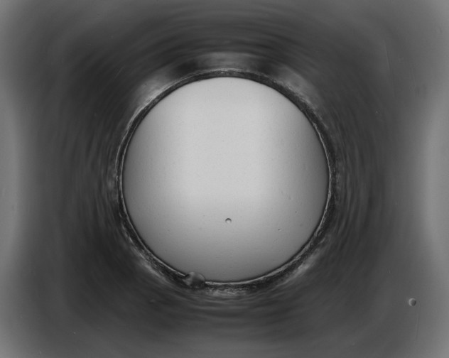 X0000086721129200705041322