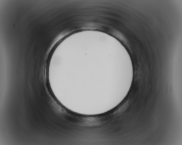 X0000086721130200705041322
