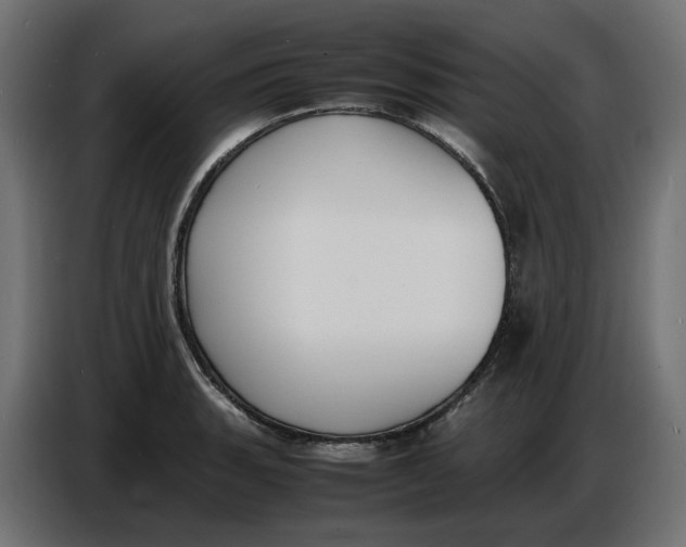 X0000086721135200705041322