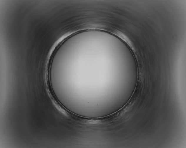 X0000086721136200705041322
