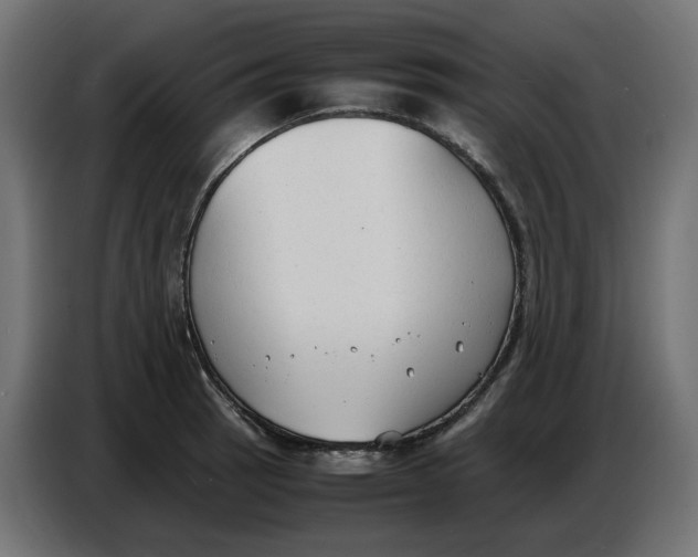 X0000086721137200705041322