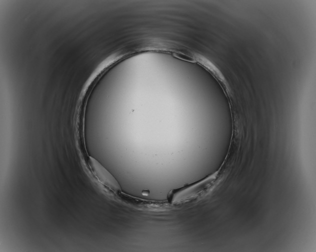 X0000086721138200705041322