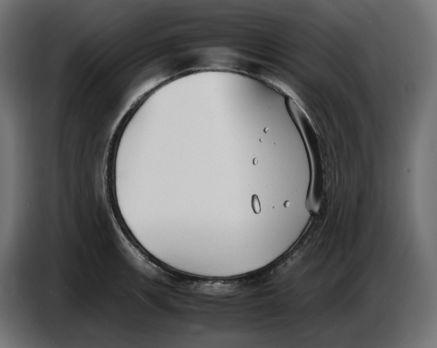 X0000086721139200705041322