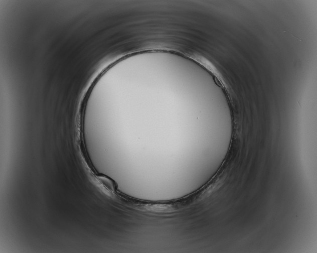 X0000086721140200705041322
