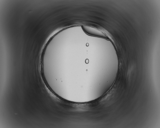 X0000086721143200705041322