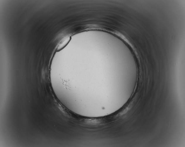 X0000086721145200705041322