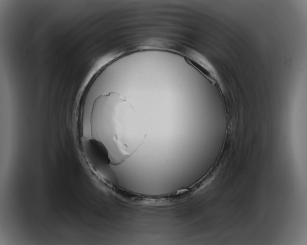 X0000086721146200705041322