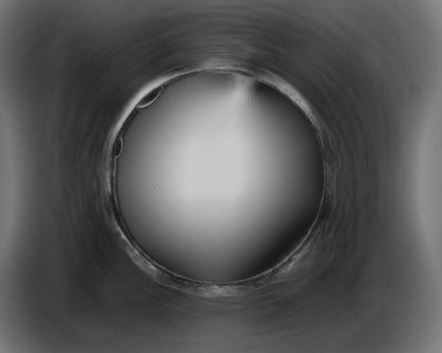 X0000086721148200705041322