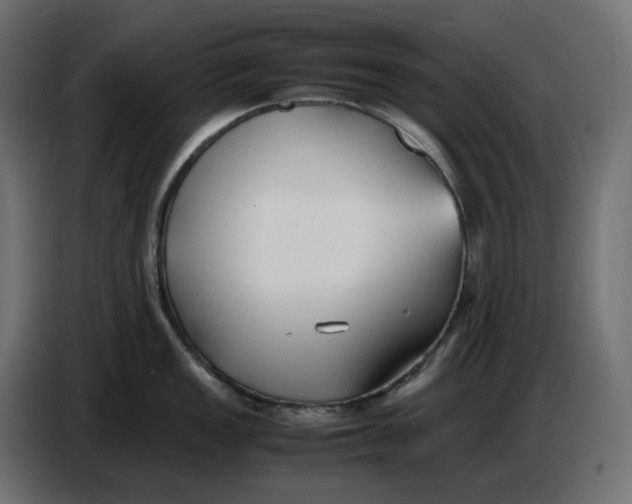 X0000086721149200705041322