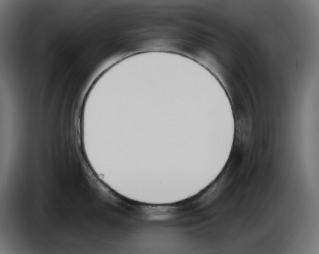 X0000086721150200705041322