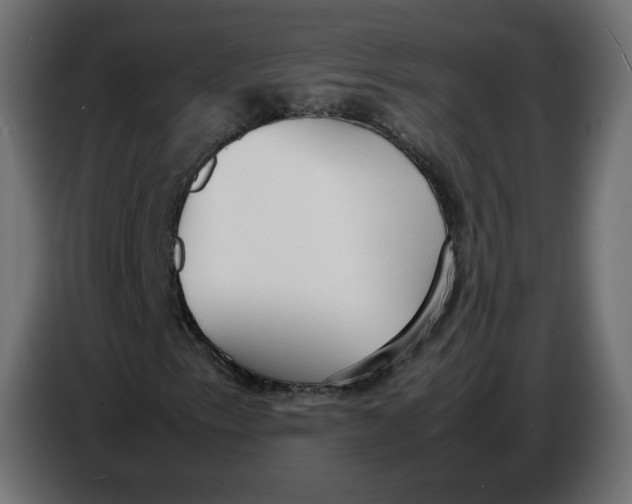 X0000086721153200705041322