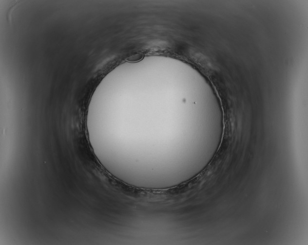 X0000086721158200705041322