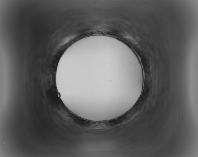 X0000086721159200705041322