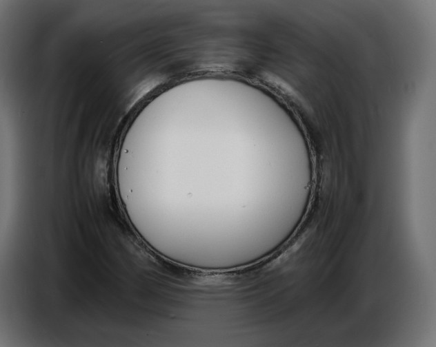 X0000086721162200705041322