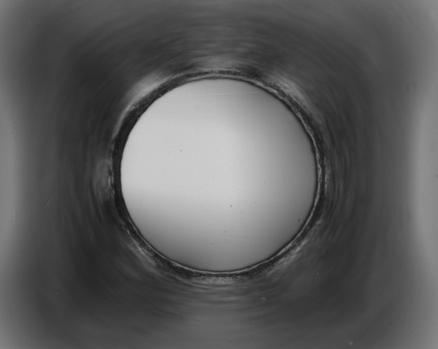 X0000086721164200705041322