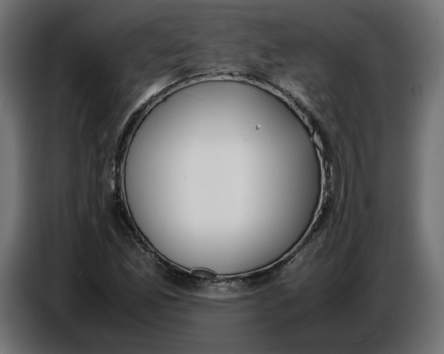 X0000086721165200705041322